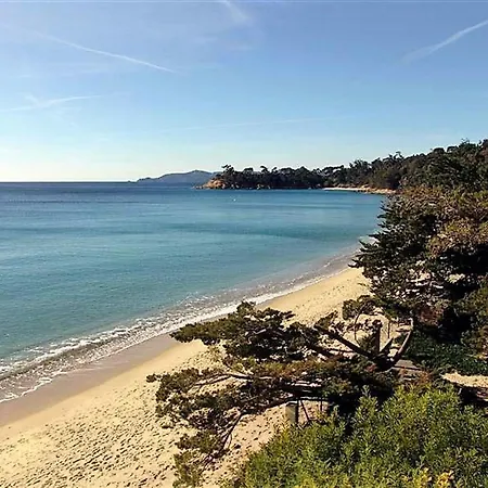Apartment 2 Pieces Avec Terrasse, Proche Et Commerces, Parking Prive, Au Lavandou - Fr-1-251-538 Le Lavandou
